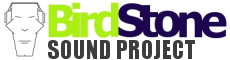 BirdStone Logo
